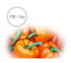 주황 파프리카 - 1.5kg ( 6~9개 ) 