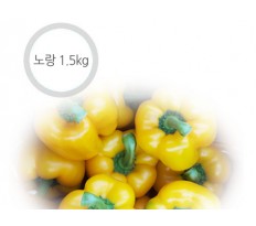 노랑 파프리카 - 1.5kg ( 6~9개 )