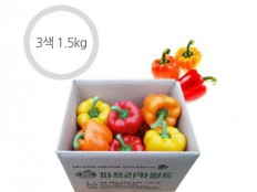 3색 혼합 파프리카 - 1.5kg ( 6~9개 )