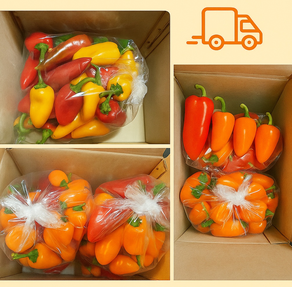 씨없는 미니파프리카  - 2kg