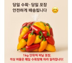 씨없는 미니파프리카 - 5kg