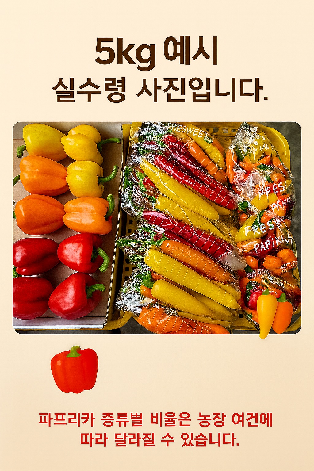 3종합 파프리카 선물세트 - 3kg