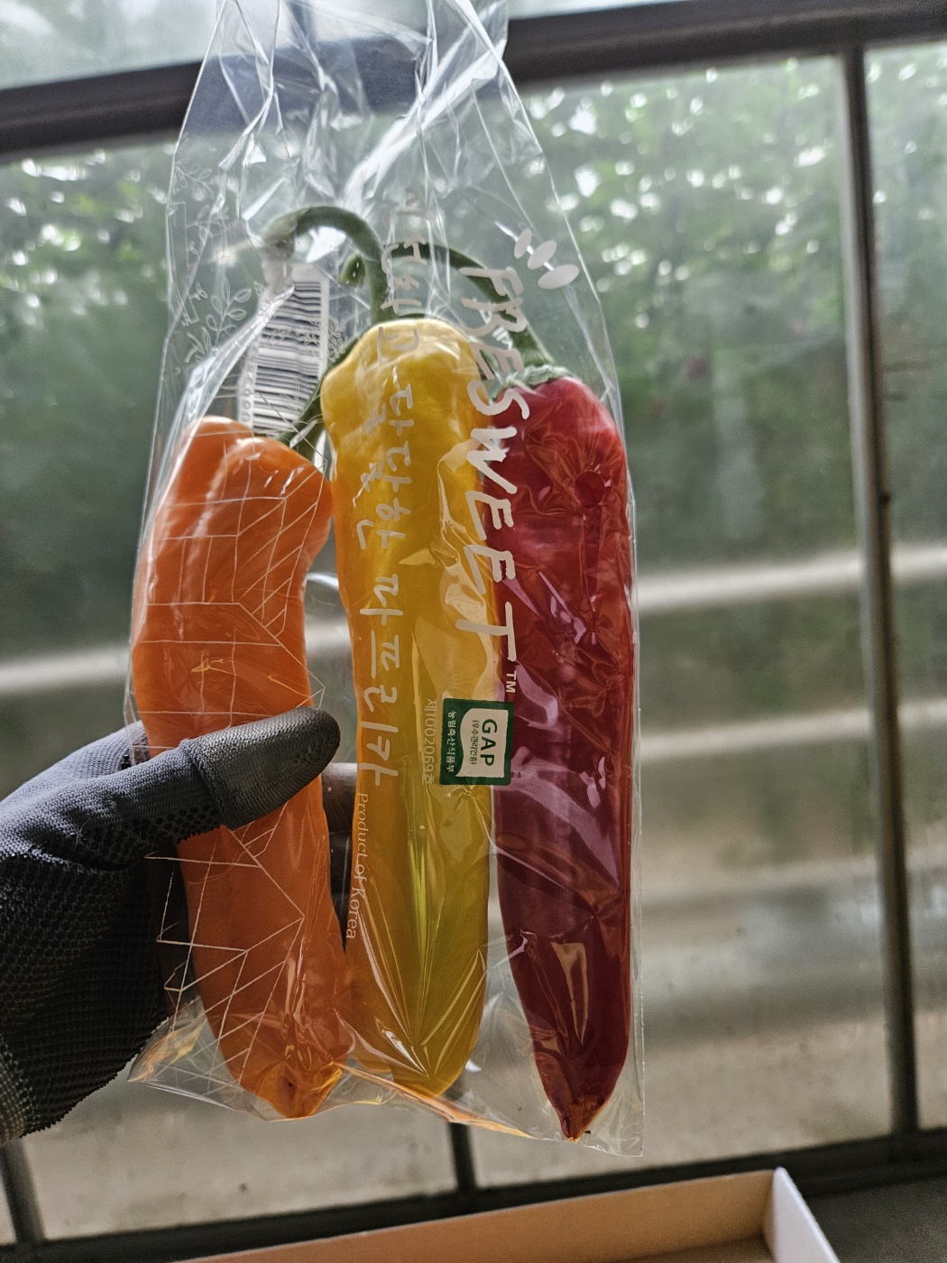 3종합 파프리카 선물세트 - 5kg