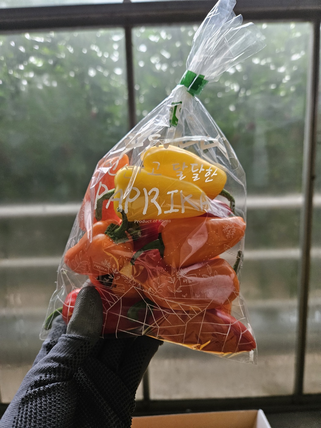 3종합 파프리카 선물세트 - 5kg